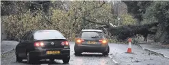  ?? PHOTOPRESS ?? A fallen tree blocks a road in Belfast. Below: Esmond Birnie