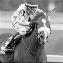  ?? MICHAEL BURNS ?? Caren’s win in the 2016 Bison City Stakes on the Tapeta at Woodbine helped her become Canada’s Horse of the Year.
