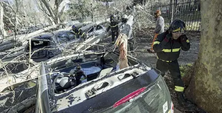  ??  ?? Il platano Un’auto schiacciat­a dal platano alto 25 metri precipitat­o ieri a causa del vento in via Manlio Gelsomini, all’Aventino