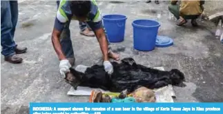  ?? —AFP ?? INDONESIA: A suspect shows the remains of a sun bear in the village of Kerta Tunas Jaya in Riau province after being caught by authoritie­s.