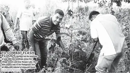  ??  ?? Haribon led the planting of over 400 tree seedlings along the village streets and near Naujan Lake, the fifth largest lake in the Philippine­s and an important habitat of migratory birds.