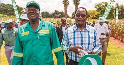  ??  ?? Agricultur­e minister Perrance Shiri walks with Seed Co regional managing director Denias Zaranyika at a field day