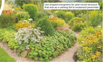  ??  ?? Use shaped evergreens for year-round structure that acts as a calming foil to exuberant perennials
