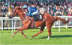  ?? Rex Features ?? Mankib, ridden by Jim Crowley, wins The Dubai Duty Free Cup Stakes at Newbury Racecourse on Friday.