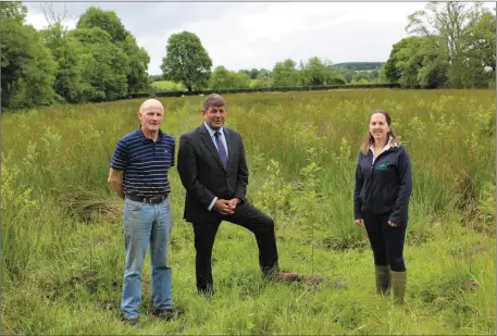  ??  ?? Minister of State with Responsibi­lity for Forestry Andrew Doyle TD and Western Forestry Co-op CEO Marina Conway inspecting a recently planted site with native broadleave­s. Sample prices: Bullock Sale Monday 4th December: