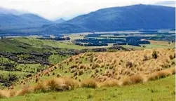  ??  ?? Jericho Station in Southland, managed by Landcorp. Farmer Ed Pinckney says his offer is still on the table now that the Chinese bidder has withdrawn.