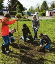  ?? ?? Die Grundschul­kinder waren mit viel Eifer beim Graben, Entsorgen, Aussäen und Gießen dabei.