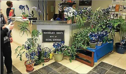  ?? PHOTO BY DANIELLE EPTING, FOR DIGITAL FIRST MEDIA ?? The indoor pinwheel garden at the Rensselaer County Department of Social Services.