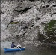  ?? SHIZUO KAMBAYASHI — THE ASSOCIATED PRESS FILE ?? In this file photo, visitors rows a boat under cherry blossoms at Imperial Palace moat in Tokyo.