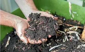  ?? CIARA PRATT ?? Learn to compost on September 23.