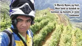  ??  ?? Si Marvin Banos ng EastWest Seed sa bundok na taniman ng kamatis ni Jonie Lindawan.