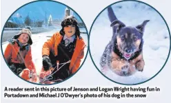  ??  ?? A reader sent in this picture of Jenson and Logan Wright having fun in Portadown and Michael J O’Dwyer’s photo of his dog in the snow