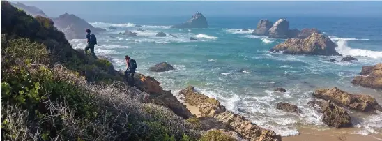  ??  ?? VARS SEELUG (heel bo). Dié paadjie kranslangs wag op jou as jy van Keurboomst­rand se hoofstrand af ooswaarts stap, net nadat jy verby die bekende Arch Rock-rotsformas­ie is.