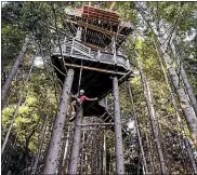  ??  ?? Ziptrek’s new ’Kereru’ tour.