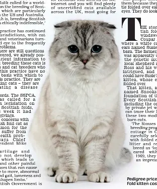  ??  ?? Pedigree price: A Scottish Fold kitten costs up to £1,300