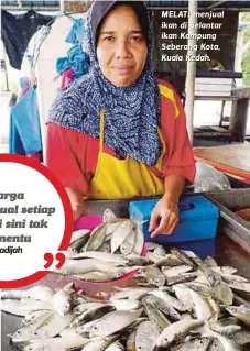  ??  ?? M ELAT I men ju al ikan di pelantar ikan Kampung Seberang Kota, Kuala Kedah.