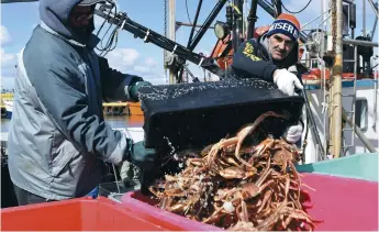  ??  ?? Les pêcheurs de crabe rapportent deux fois moins de crabe qu’à la normale. - Archives