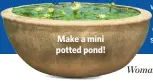  ??  ?? Make a mini potted pond!