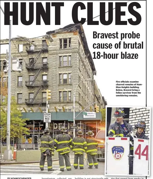  ??  ?? Fire officials examine charred remains of Hamilton Heights building. Below, Bravest bring a feline survivor from the smoldering remains.