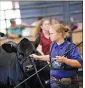  ??  ?? Madalyn Johnson, 13, shows a Balancer heifer at the 2020 Gelbvieh Junior National Heifer Show. Balancer cattle are a registered cross between Gelbvieh and Angus cattle.