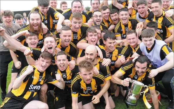  ?? Pictures: Aidan Dullaghan ?? The Naomh Moninne squad celebrate their Louth SHC title success on Sunday.