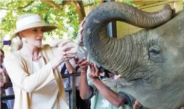  ??  ?? Princess Michael of Kent feeding a baby elephant at the Pinnawala Elephant Orphanage