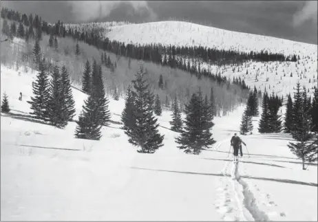  ?? COURTESY U.S. FOREST SERVICE ?? Two skiers head out of Aspen Basin in 1940, which would later become the Santa Fe Ski Basin, and finally Ski Santa Fe. This view is from what now is the lower mountain’s beginner section, looking upward to Tesuque Peak, which had been swept by a major fire in the early 1900s.