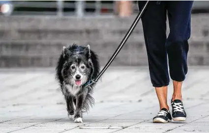  ?? Jeenah Moon / New York Times ?? Ten minutes of mild exercise can immediatel­y alter how certain parts of the brain communicat­e and coordinate with one another and improve memory function, according to a new study.