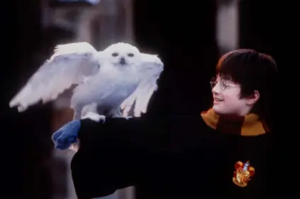  ?? Peter Mountain, Warner Bros. ?? Daniel Radcliffe, in his role as Harry Potter, holds Hedwig, the owl, on his arm during the shooting of the film “Harry Potter and the Sorcerer’s Stone.” Director Chris Columbus said he kept multiple cameras rolling on set to capture the genuine reactions of his young actors to new experience­s — like holding an owl or eating beneath a sky of floating candles.