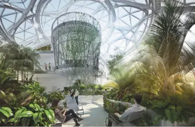  ??  ?? In an undated handout photo, interior renderings of the spheres at Amazon showing what the Amazon jungle will eventually look like. Amazon is building a complex at its Seattle headquarte­rs where employees can sit by a creek, walk on suspension bridges...