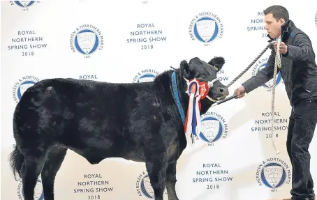  ?? Picture: Ron Stephen. ?? The Limousin cross heifer which was named supreme champion.