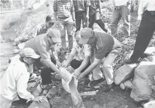  ??  ?? MAMPU BERSAING: Ewon (dua kiri) bersama Ajis dan Amusin melepaskan anak ikan ke Sungai Tahukad.