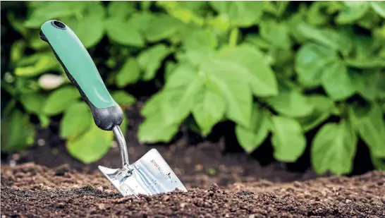  ??  ?? The awareness of this biosphere should change the way gardeners think about cultivatin­g plants. Don’t ever call it ‘‘dirt’’ again.