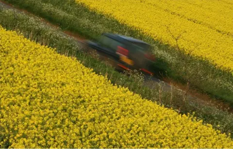  ??  ?? Exhausted: A 4x4 drives along a country road between fields of rapeseed oil plants in bloom