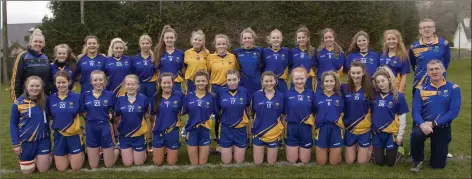  ??  ?? The Wicklow under-16 team who thumped Kilkenny in Tinahely.
