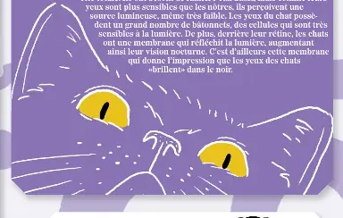 Comment Les Chats Voient Ils Dans Le Noir Pressreader