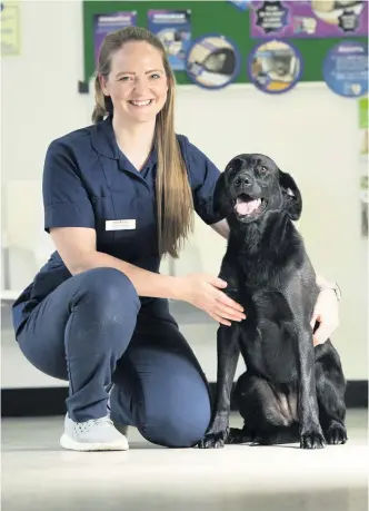  ??  ?? Bloodhound
Catriona Edgar and her hero pup Skye are appealing for donating dogs