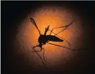  ??  ?? The Department of Health admitted it would not meet its target of eliminatin­g malaria by 2018.