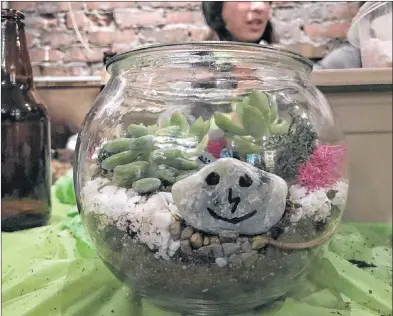  ?? AP PHOTO ?? This photo provided by Tracee Herbaugh shows a terrarium created at Plant Nite event in downtown Boston.