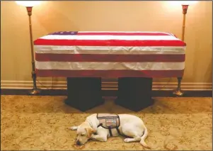  ?? The Associated Press ?? IN SERVICE: Sully, President George H.W. Bush’s service dog, lies in front of his casket Sunday in Houston. The 41st president died Friday at his home in Houston at 94.