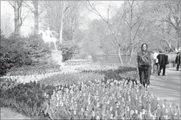  ??  ?? The flower fields at Keukenhof Gardens attract tourists and their cameras daily.