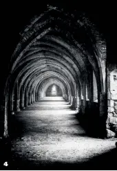  ??  ?? 4
4 Fountains Abbey Vaulted Cloisters by Peter
Greenway Architectu­ral shots are often very well suited to mono conversion­s, and this is no exception.