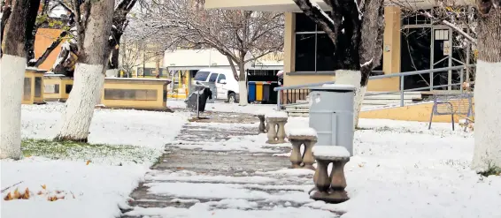  ?? FOTOS: CORTESÍA FACULTAD DE FILOSOFÍA Y LETRAS ?? Siempre que nieva, las postales son preciosas