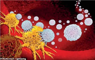  ??  ?? A ‘one-size’ fits all cancer treatment once believed to be impossible may be on the horizon after scientists discovered an immune cell that kills off multiple forms of the disease. Pic courtesy Shuttersto­ck