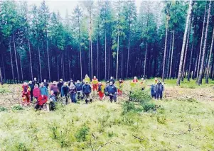  ?? FOTO: DANIEL VOIGT ?? Mehr als 1000 Bäume pflanzten der Verein „Run4Kids“und der Feuerwehrv­erein Sömmerda mit Unterstütz­ung des Katastroph­enschutzzu­ges des ASB im Tambacher Wald.