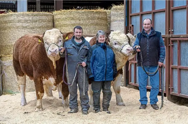  ?? ?? TAKING STOCK: Douglas, Morag and Gerald Smith with two of their five bulls heading to Stirling Bull Sales. Pictures by Kath Flannery.