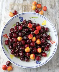  ?? Tribune News Service ?? ■ Fresh cherries, both Bing and Ranier varieties, are plentiful right now.