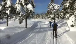  ??  ?? PÅSKESNØ: Det har vaert godt med snø og fint skiføre i distriktet denne vinteren. Bildet er fra Øynaheia. Arne Kristian Skiftenes kommentere­r snø og klima i dette innlegget.