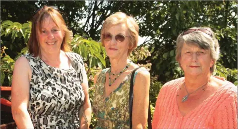  ??  ?? Lucy Rothwell, Eleanor Masterson and Elizabeth Grandy at the open day at Iris Checkett’s Japanese garden in aid of Ardamine Union.