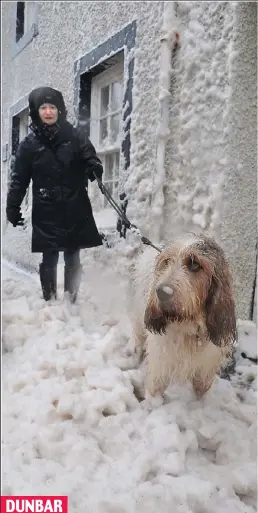  ??  ?? DUNBAR
Bubble bath: Molly and owner Heather Muir face up to sea foam